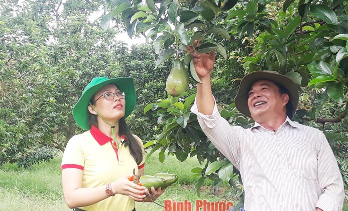 Ưu tiên nguồn lực phát triển nông nghiệp ứng dụng công nghệ cao