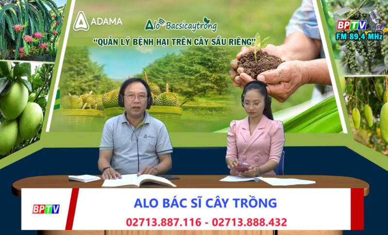 Cùng chuyên gia “bắt mạch” bệnh hại trên cây sầu riêng