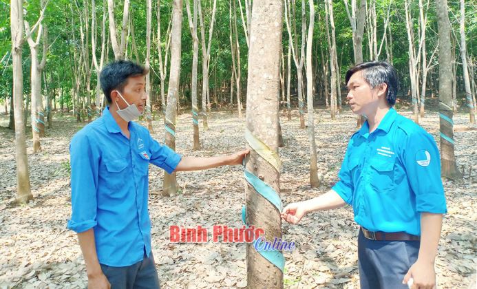 An Khương chú trọng phát triển đảng từ thanh niên làm kinh tế giỏi