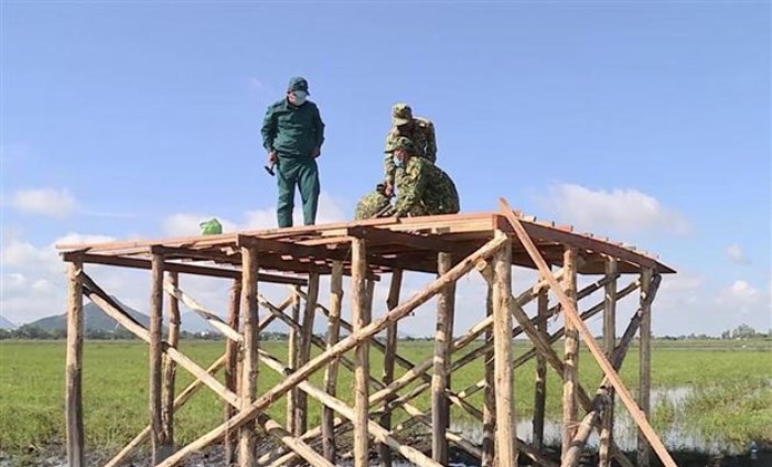 Việt Nam không có ca mắc COVID-19 mới, 805 ca đã được điều trị khỏi