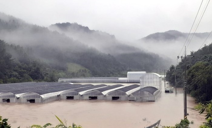 Hàn Quốc: Hàng nghìn người sơ tán, sống trong lều bạt do mưa lũ