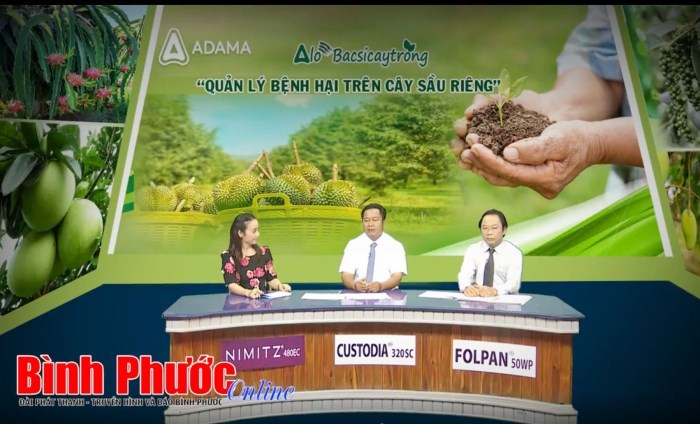 "A lô bác sĩ cây trồng" số 2: Cách phòng, trừ bệnh hại trên cây sầu riêng