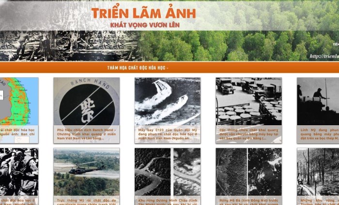 'Kh&aacute;t vọng vươn l&ecirc;n': Bức tranh to&agrave;n cảnh về thảm họa chất độc da cam