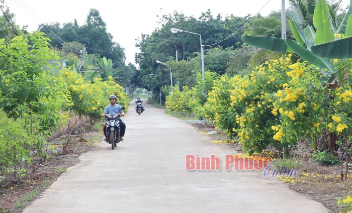 Đề nghị công nhận xã Tiến Hưng đạt nông thôn mới nâng cao năm 2020