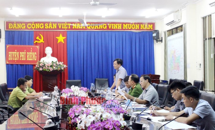 Huyện Phú Riềng đã trồng gần 20 ngàn cây lâm nghiệp phân tán