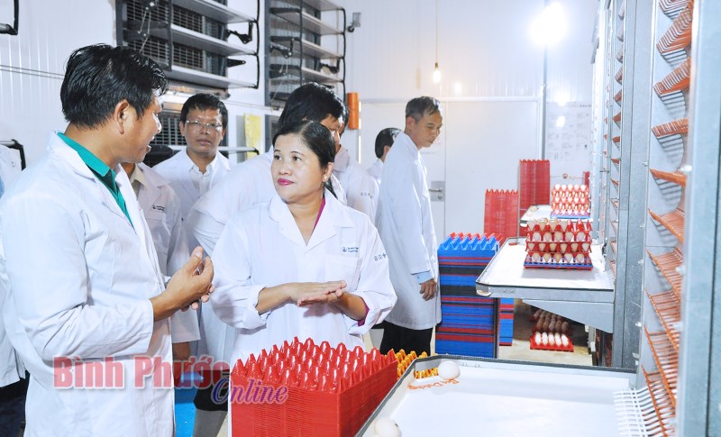 Bình Phước - khát vọng phồn vinh