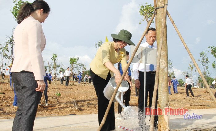 Ph&aacute;t động trồng c&acirc;y &ldquo;Nhớ ơn B&aacute;c Hồ&rdquo; ch&agrave;o mừng Đại hội Đảng bộ tỉnh lần thứ XI