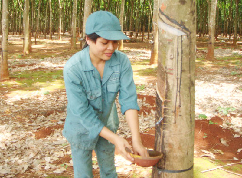 Nữ đảng vi&ecirc;n trẻ học v&agrave; l&agrave;m theo B&aacute;c