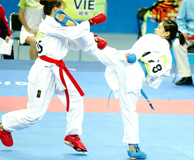 Giải karatedo Hàn Quốc mở rộng năm 2011: Việt Nam thắng lớn