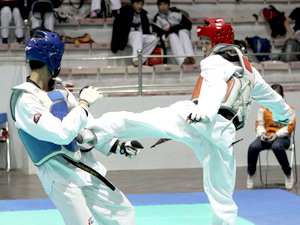 29 câu lạc bộ dự giải vô địch taekwondo quốc tế