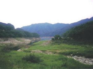 Hơn 30 người thương vong vì lở đất ở Hàn Quốc