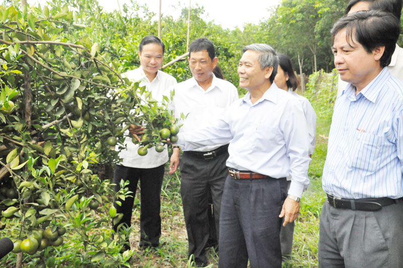 L&atilde;nh đạo tỉnh thăm c&aacute;c m&ocirc; h&igrave;nh sản xuất giỏi