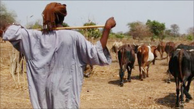 Xung đột sắc tộc tại Nam Sudan, 500 người chết