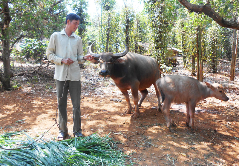 X&atilde; B&ugrave; Gia Mập: Từng bước ph&aacute;t triển bền vững