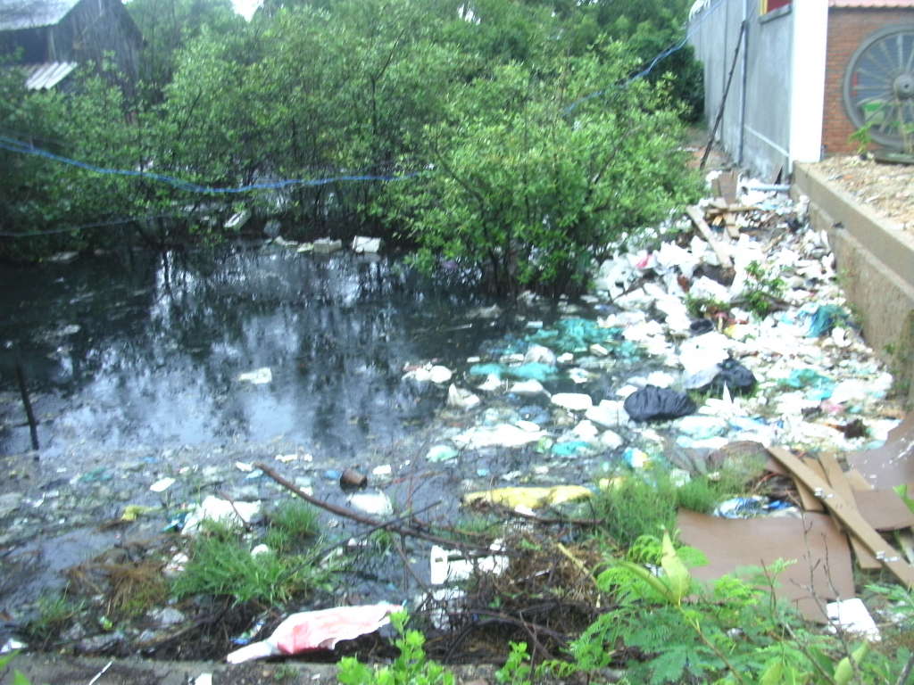 Thẩm quyền của chủ tịch UBND c&aacute;c cấp xử phạt vi phạm về m&ocirc;i trường