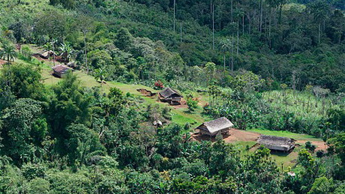 Máy bay rơi ở Papua New Guinea, 28 người chết