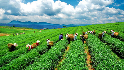 Vài nét về Thái Nguyên và Liên hoan Trà Quốc tế lần thứ nhất Thái Nguyên - Việt Nam 2011