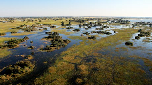 Botswana: máy bay rơi, 8 người chết