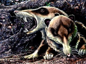 Phát hiện hóa thạch loài sóc có răng kiếm cổ đại