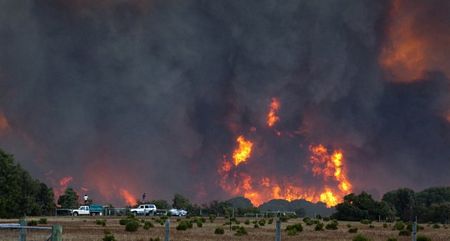Australia: “Bà hoả” thiệu rụi 4.000 héc-ta rừng