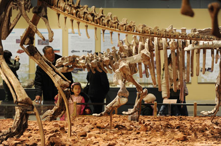 Trung Quốc: Triển lãm hóa thạch khủng long 