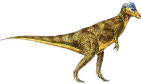 Tìm thấy hóa thạch khủng long niên đại 75 triệu năm 