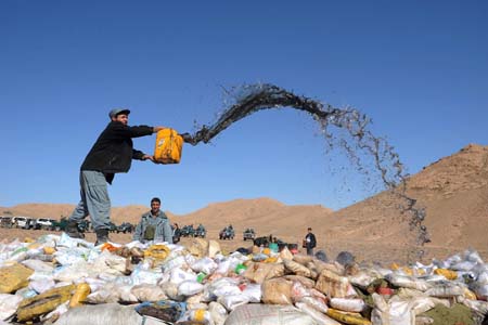 Các nước đồng loạt tiêu hủy ma túy 