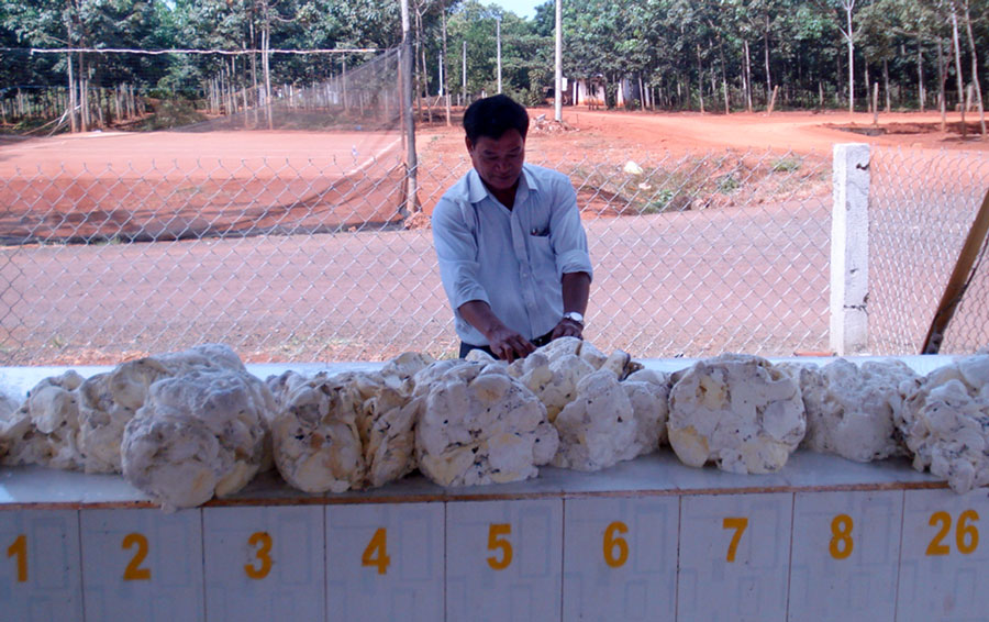 Người đảng vi&ecirc;n mẫu mực