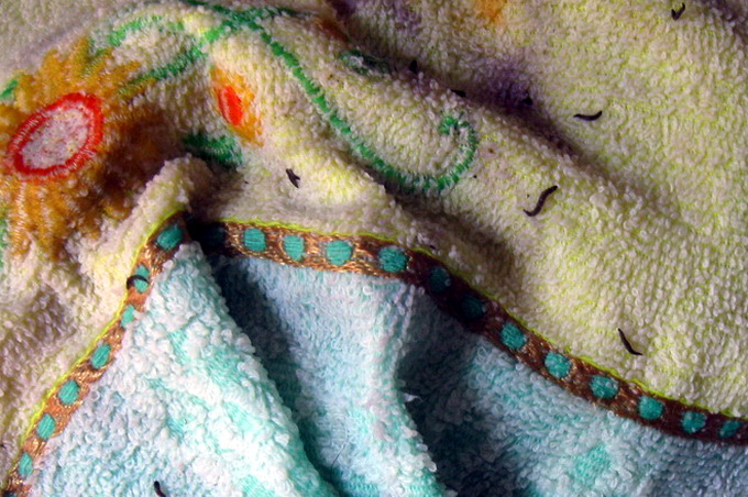 Ấu trùng lạ trên khăn tắm TQ: lấy mẫu xét nghiệm