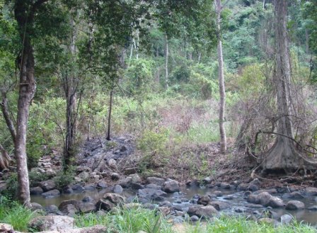 Mỗi thôn, bản được hỗ trợ 40 triệu đồng/năm để bảo vệ rừng đặc dụng