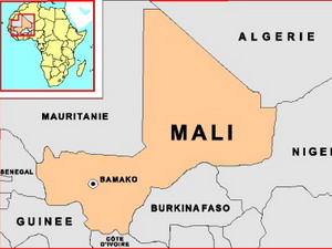 Tư lệnh ECOWAS họp bàn can thiệp quân sự Mali 