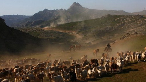 Động đất 6,6 độ Richter rung chuyển Tân Cương