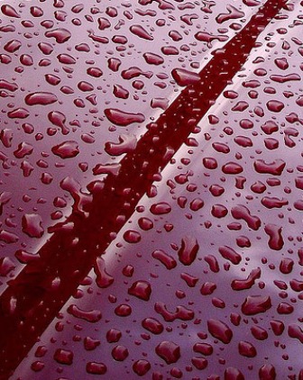 “Mưa máu” gây hoảng sợ tại Ấn Độ