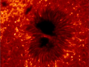 Phát hiện một vết đen dài 800.000km trên Mặt trời