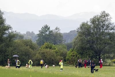 Slovenia: Rơi khinh khí cầu, 22 người thương vong