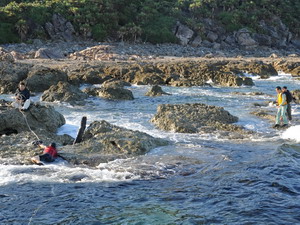 Chính quyền Tokyo ra khảo sát quần đảo tranh chấp