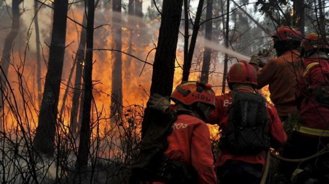 Cháy rừng, Bồ Đào Nha cầu cứu EU