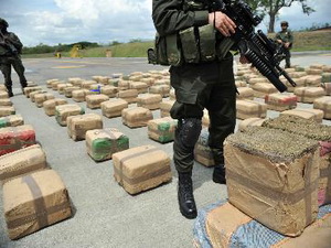 Cảnh sát Colombia vừa thu giữ gần năm tấn cần sa