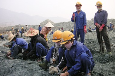 Kiên quyết xử lý những hành vi vi phạm quy định về vệ sinh lao động