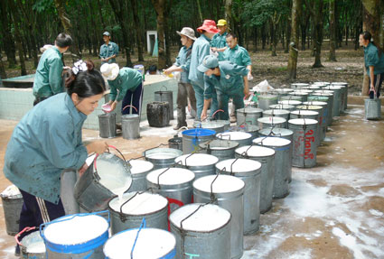 Năm 2012 ước thu ngân sách toàn tỉnh 3.380 tỷ đồng 