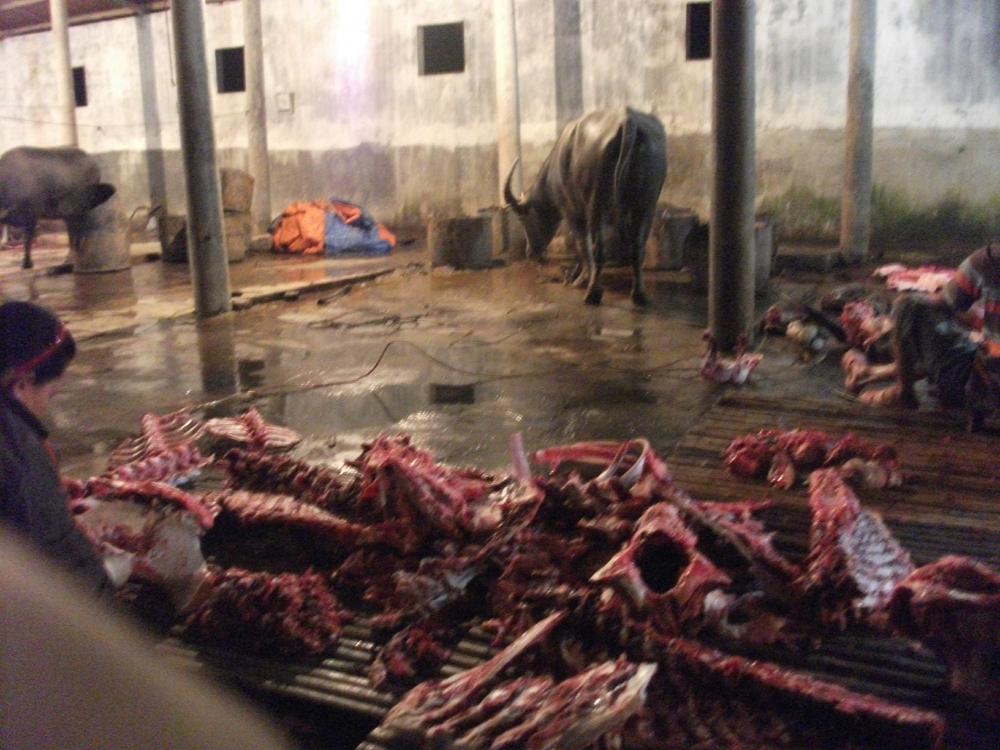 Vi phạm về kiểm so&aacute;t giết mổ động vật sẽ bị phạt đến 15 triệu đồng