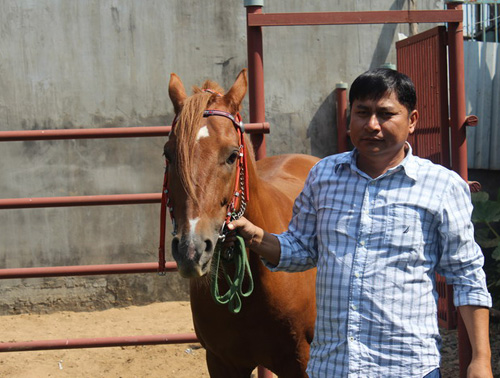 Giáp mặt thần mã