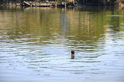 2 trẻ em chết thương tâm do tai nạn đuối nước