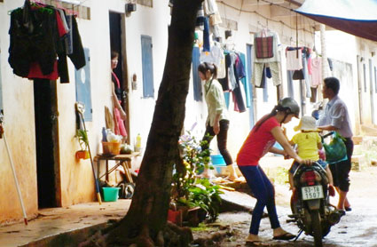 Báo động dịch viêm não mô cầu ở Phước Long