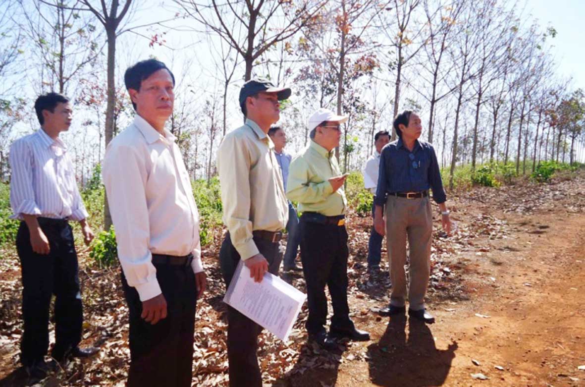 Kiểm tra hiện trạng diện t&iacute;ch 10% c&aacute;c c&ocirc;ng ty b&agrave;n giao cho Quỹ an sinh x&atilde; hội