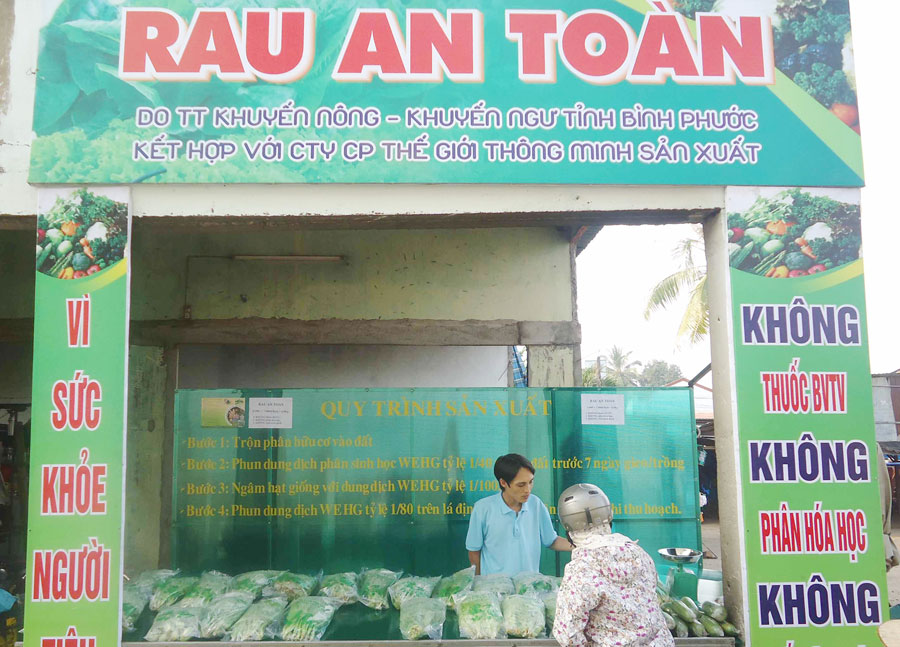 Sản xuất rau an toàn vẫn còn nhiều nan giải