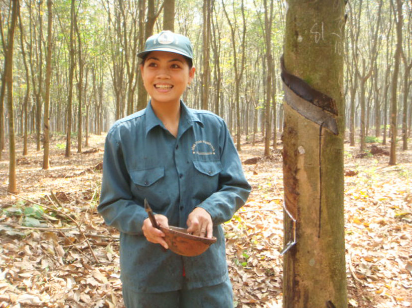 Tấm gương học v&agrave; l&agrave;m theo B&aacute;c ở N&ocirc;ng trường B&igrave;nh Minh