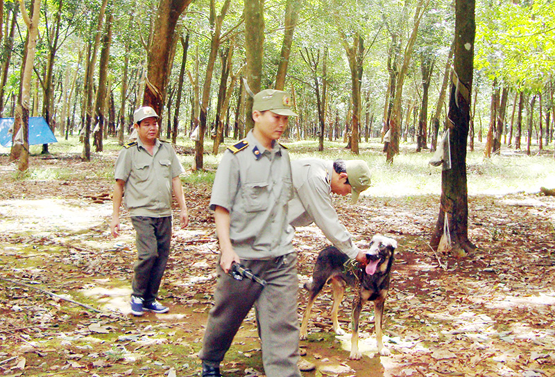 Ký kết giữ gìn an ninh trật tự và bảo vệ tài sản