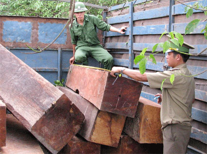 Kỷ niệm ng&agrave;y bi&ecirc;n ph&ograve;ng to&agrave;n d&acirc;n