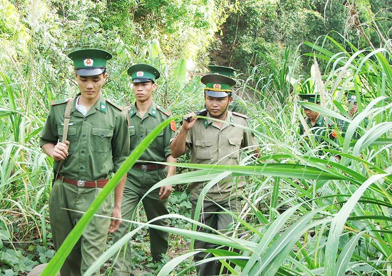 Chặt, ph&aacute; c&acirc;y trong v&agrave;nh đai bi&ecirc;n giới sẽ bị phạt